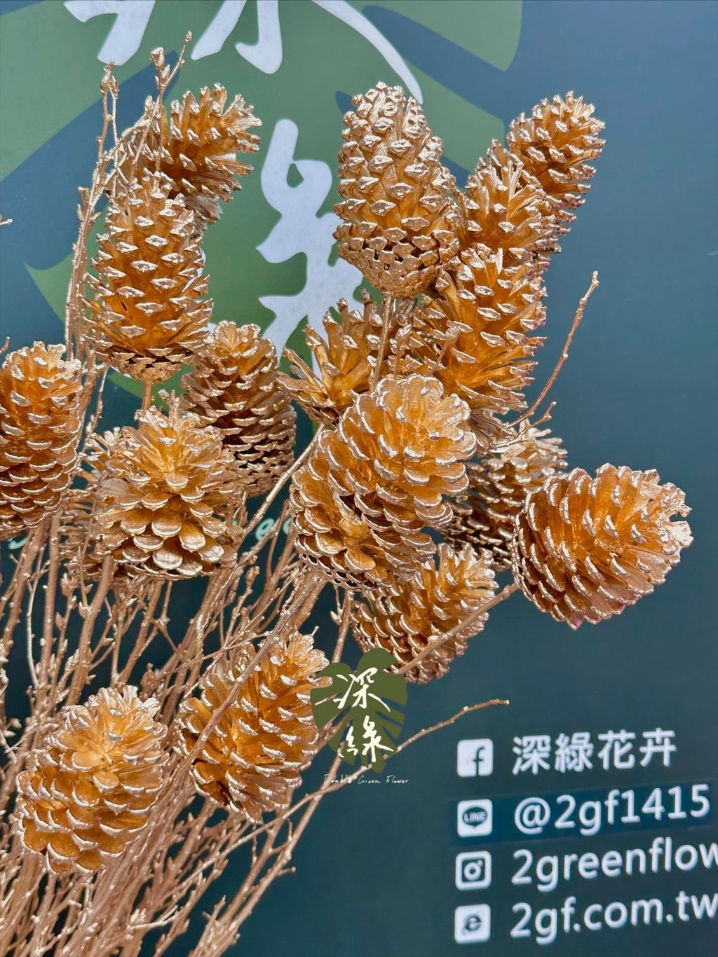 image_F7BCF835-00BC-4B83-A70C-350E1EB6AC96_1767437720