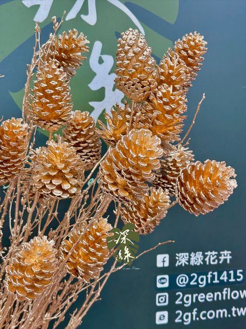 image_F7BCF835-00BC-4B83-A70C-350E1EB6AC96_1767437720