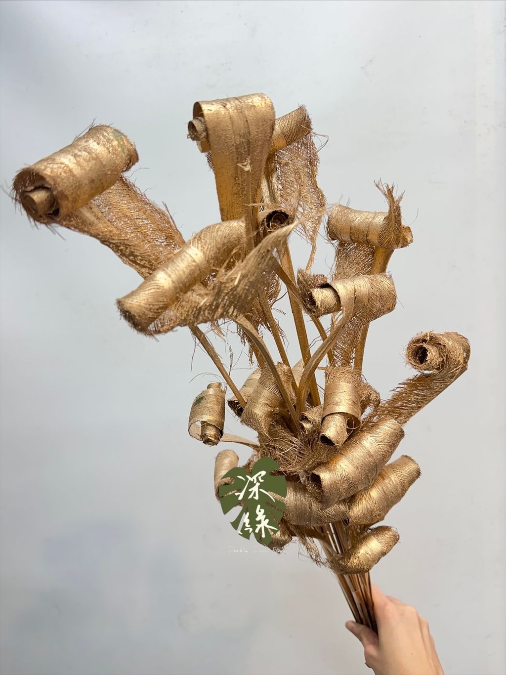 image_D3B5F483-2249-4149-962A-C36FE057AF88_1767437822