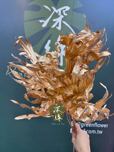 image_D5DDFE2B-3D3E-4588-9F95-FC8EC8FE421E_1767437889