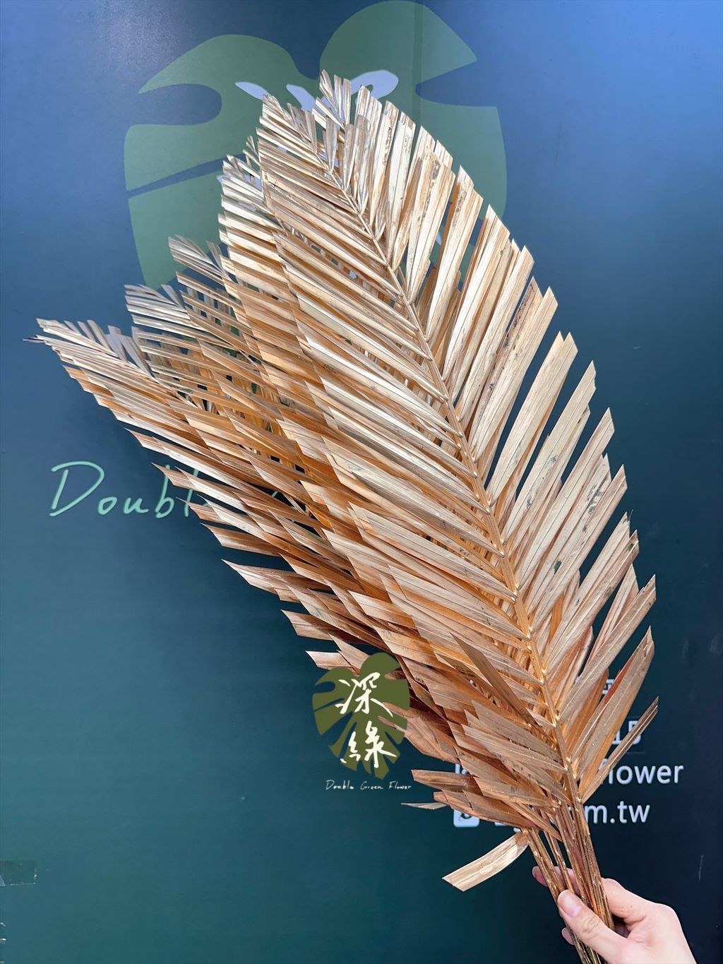 image_1670E9B6-3937-4E49-91B1-58193A068676_1767437930