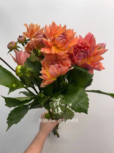 messageImage_1767505632967