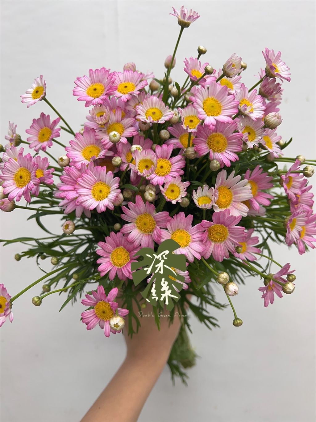 image_388CE35F-4A13-4AE7-B8F5-BD997276586A_1767586790