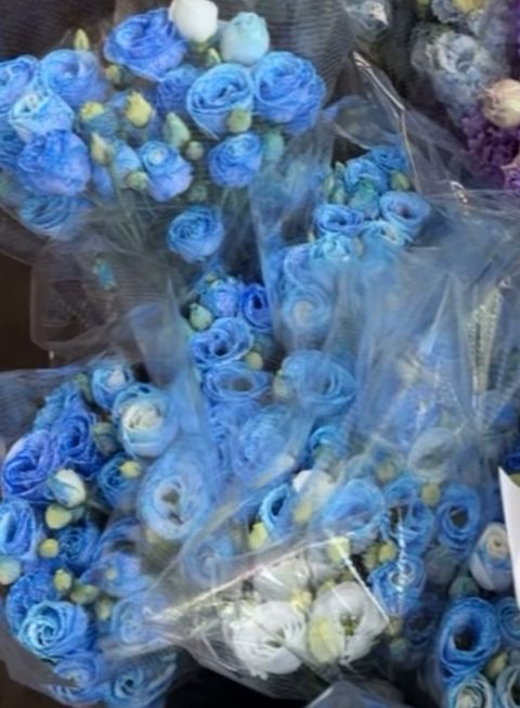 image_E53A3E16-0DFD-4262-B502-384A4845CBC9_1767589380