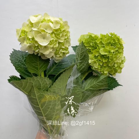 image_EE51C347-42BC-4BB6-9C24-6FDF2E9BDF26_1767668003