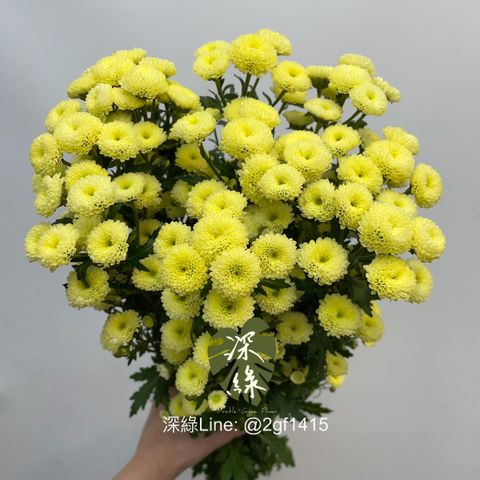 image_B2294317-CFAF-4412-9EA1-17479722DB6E_1767668174