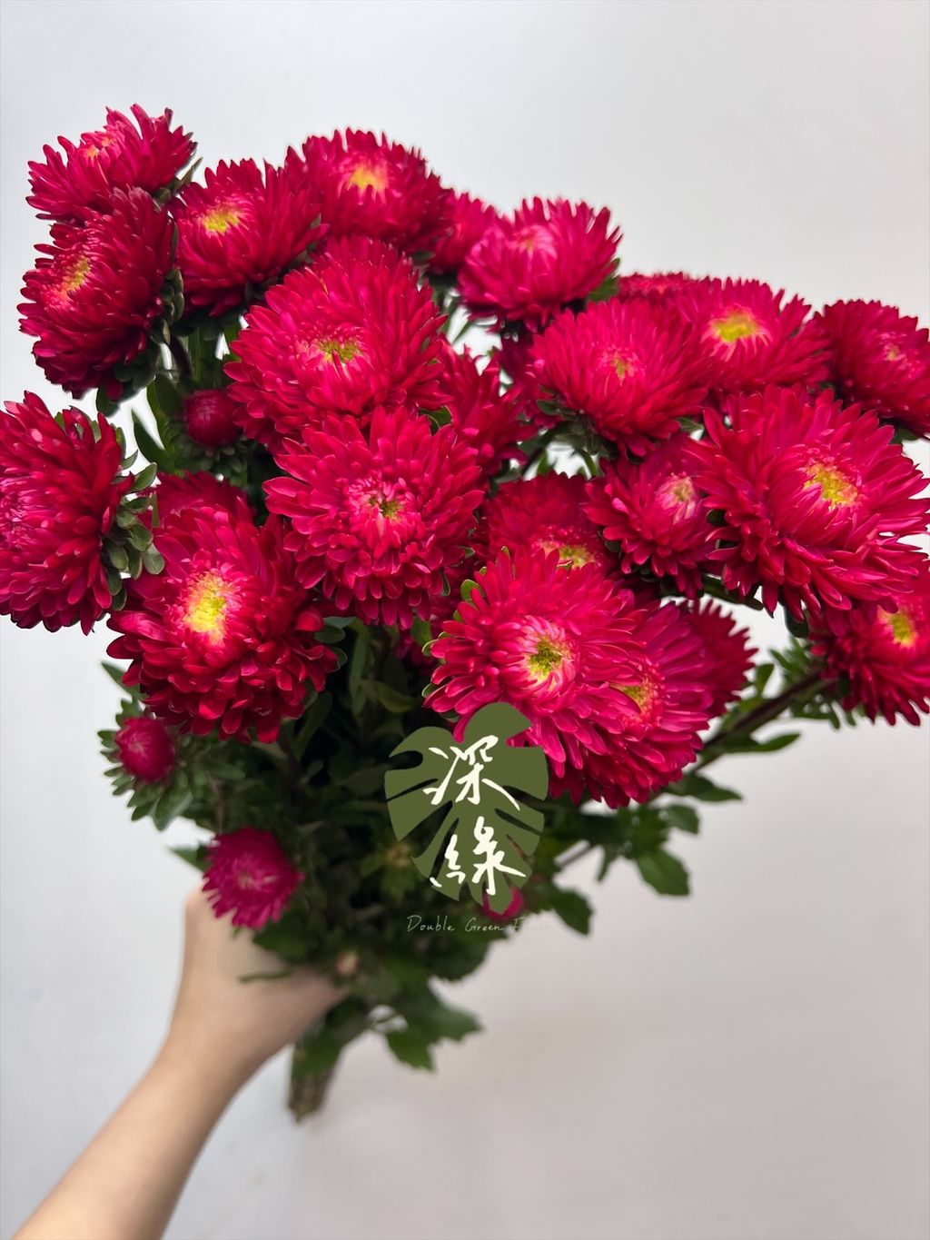 image_E2A7E181-AC20-4A78-8449-B43AE1032C06_1767922403