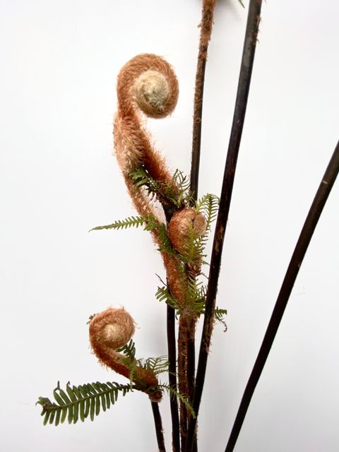 image_27F2EEF3-2834-409F-A5F8-9484955D26EC_1765101758