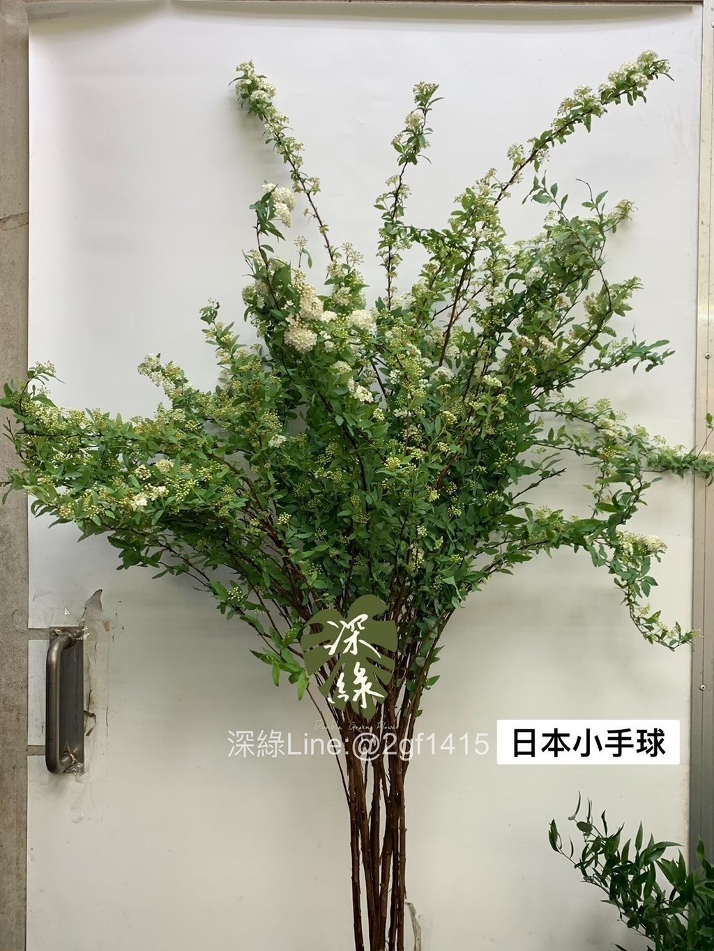 F623932A-0A98-4B22-8586-5749C213ED49