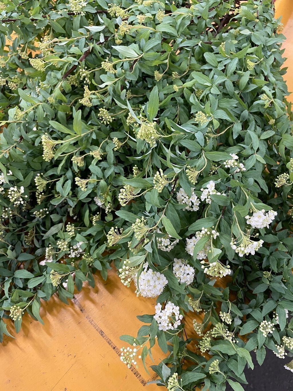 970517A3-196A-4808-BB18-1CD2BDF09990