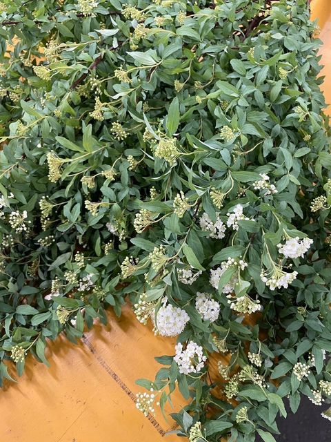 970517A3-196A-4808-BB18-1CD2BDF09990