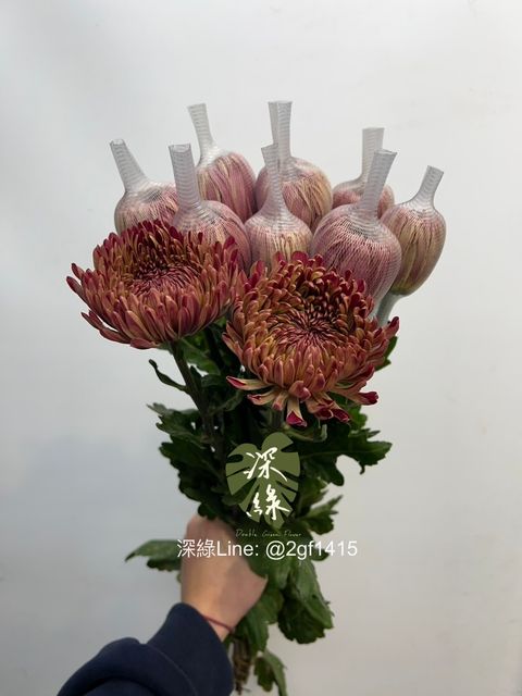 image_E967DE83-4DF1-4F77-95B0-1FC6844BDEBC_1768103521