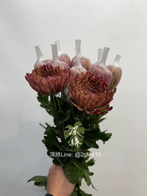 image_D3C70238-311D-4B17-8061-32FE0D0FCD1D_1768103521