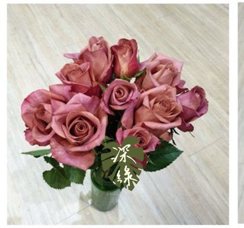 image_EC8F6DF8-775B-4E58-888E-44DB04045E3C_1768105372