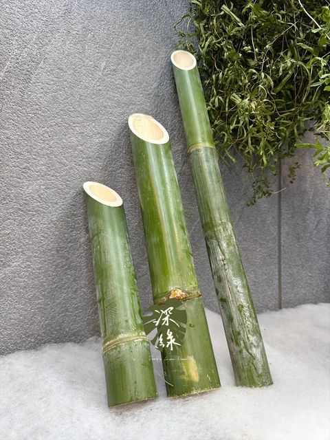 image_BDED2C9E-CD97-4584-AD0B-28B05FA2FB1F_1768106634