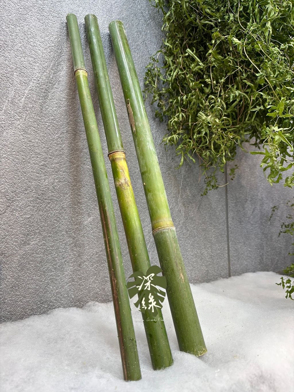 image_33744A03-9ABB-4EE8-AECD-2DDCB84CB03A_1768106778