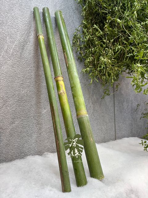 image_33744A03-9ABB-4EE8-AECD-2DDCB84CB03A_1768106778