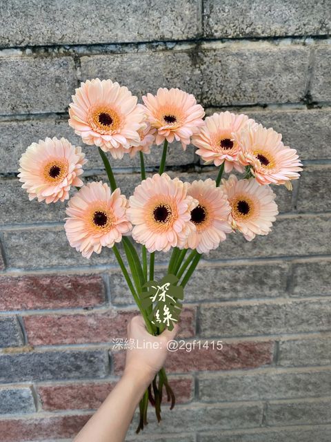 image_04E402DD-4DB4-4746-B854-8A9B8BA4F8DD_1764568851