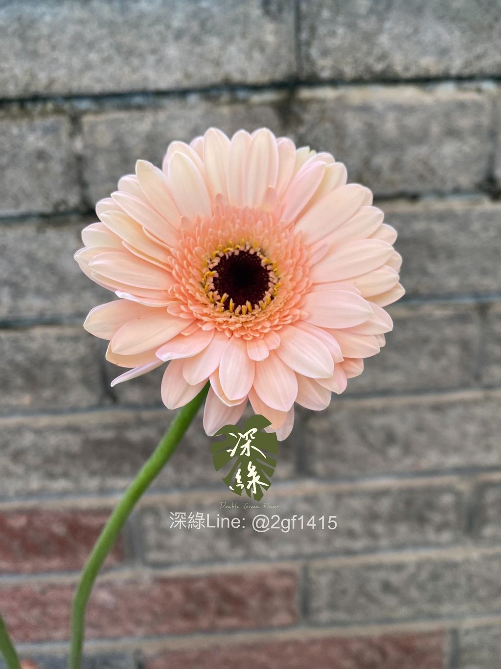 image_0DF50AA6-6FDC-4625-AEF8-D36CF8686D26_1764568851