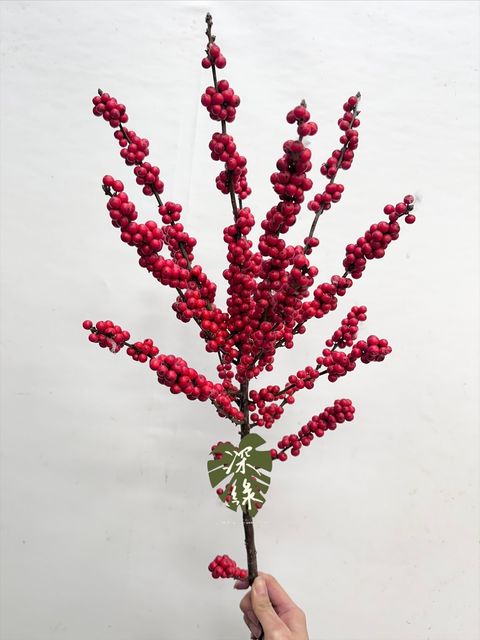 image_8001E0A8-6D07-4FAC-B9C6-D37D1103C490_1767841246