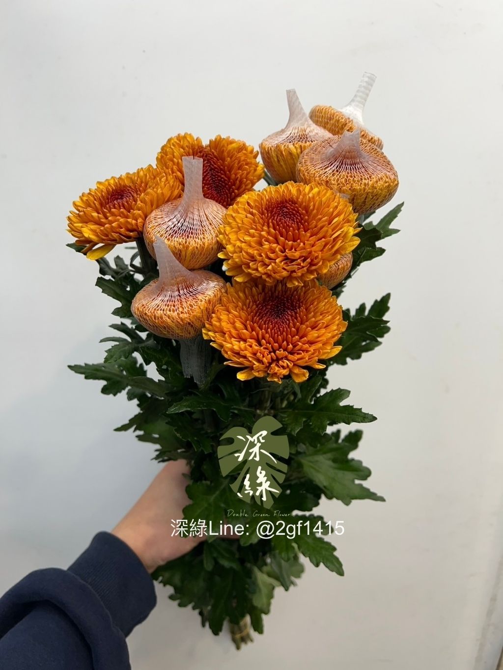 image_20B38EBA-ECBC-4357-9D5F-8D50E514CC2D_1768103600