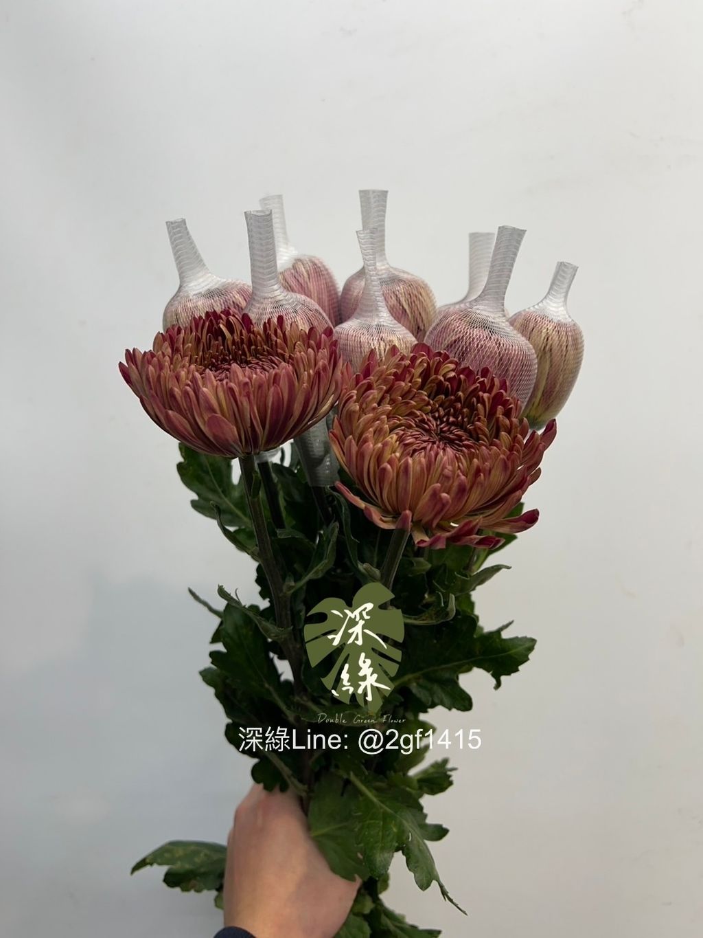 image_D3C70238-311D-4B17-8061-32FE0D0FCD1D_1768103521