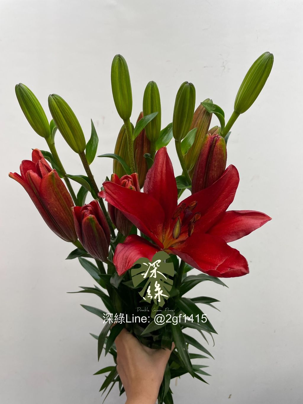 eZy Watermark_07-01-2025_12-21-47-5540下午-1736223843073