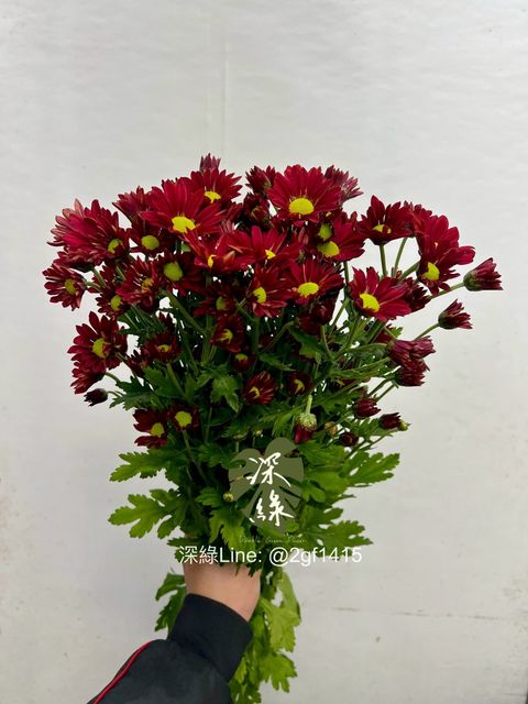 image_E7D48FC1-3450-43C2-927C-A17BE2EE0881_1768270196