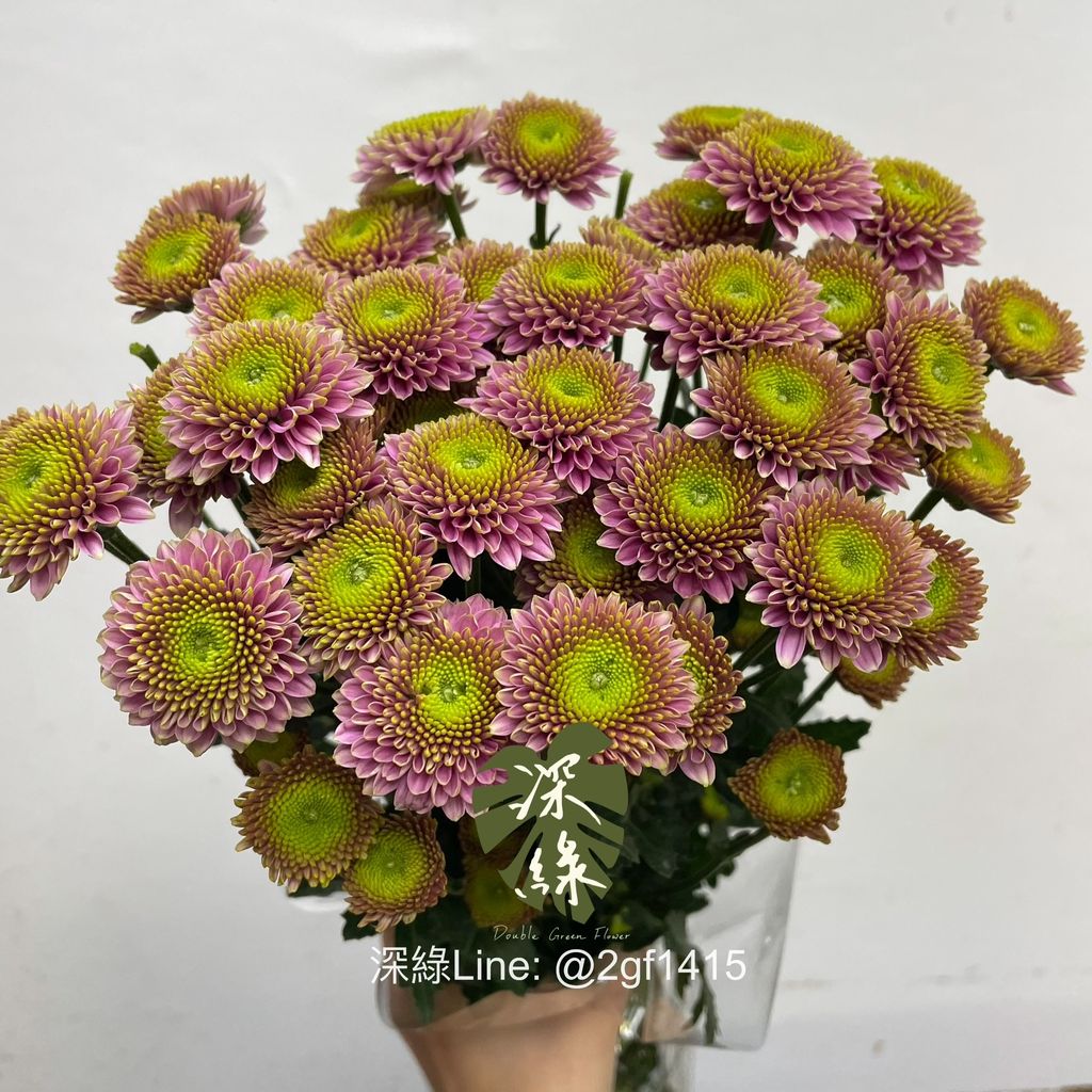 image_AB2EEBDE-9F18-4553-AEBB-E54470839E46_1768270368