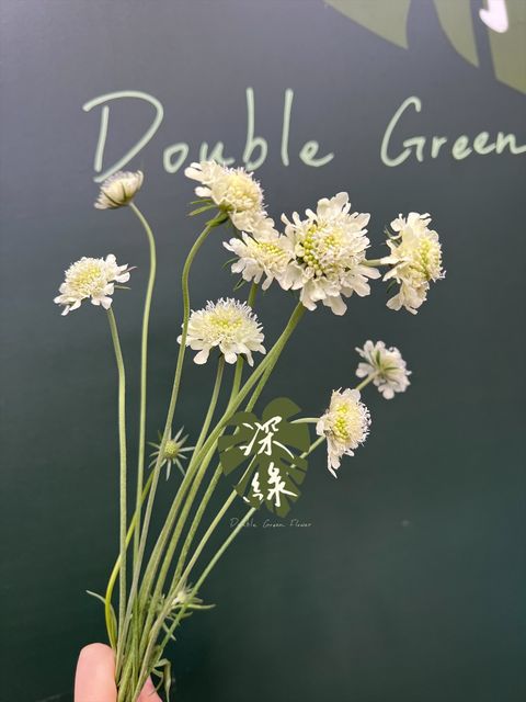 image_206F522C-3187-4D8C-B881-1E12022A4149_1768270924