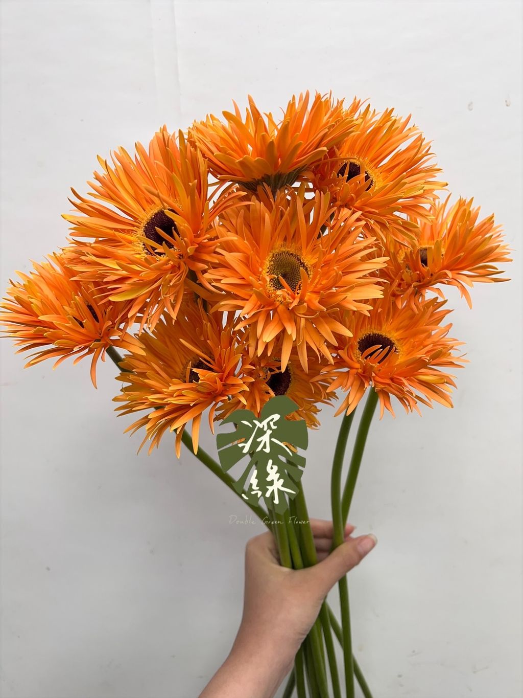 image_440BC3CB-38EF-495A-9863-28629FF6AD3A_1768272977