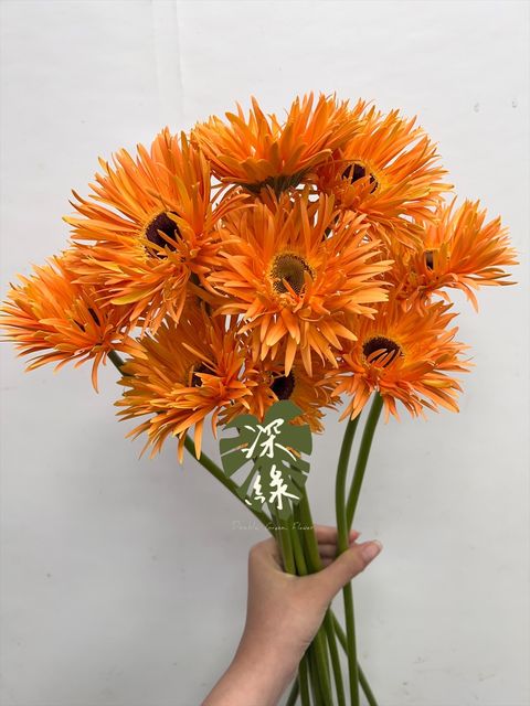 image_440BC3CB-38EF-495A-9863-28629FF6AD3A_1768272977