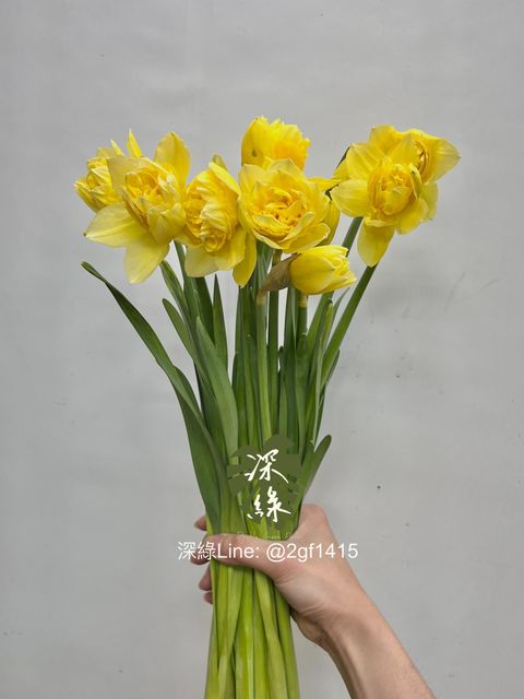 IMG_4055-1741668938202