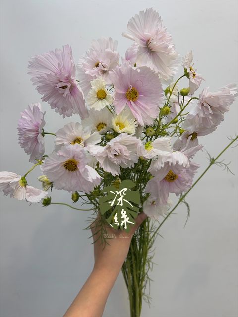 image_F33D10B9-0976-4FF2-94A4-7E371C1D172E_1768271843