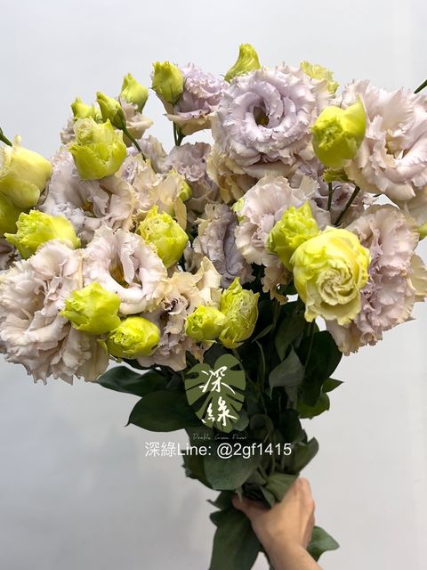 image_9B650854-784F-4298-BDFC-83A1E5DB2C1A_1747440720