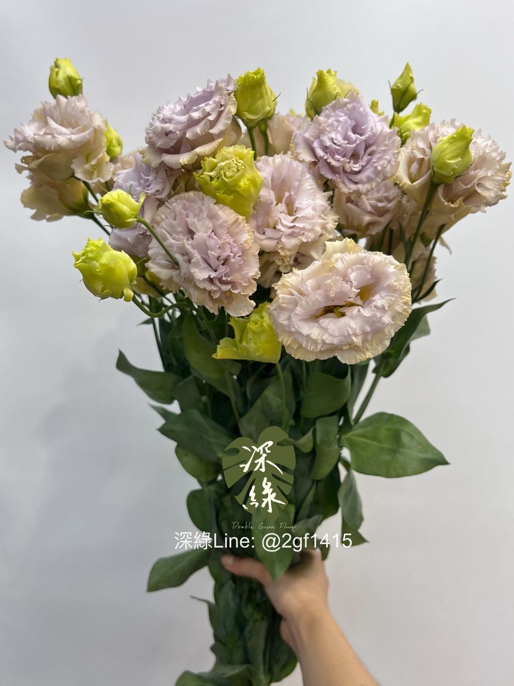 image_C580880A-5BAA-45EA-A255-6CC1629A55D0_1747440720