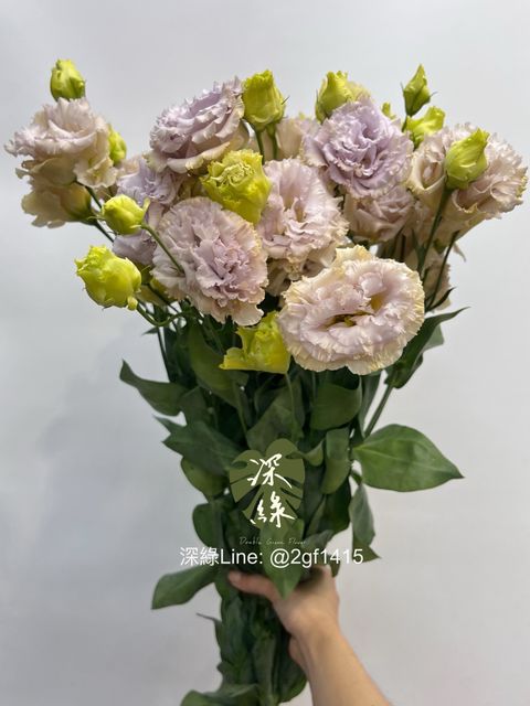 image_C580880A-5BAA-45EA-A255-6CC1629A55D0_1747440720