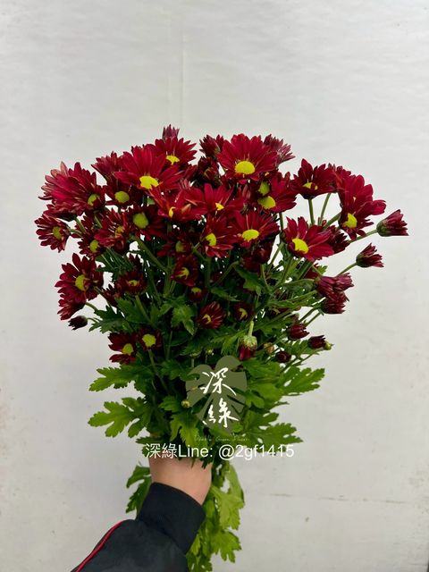 image_E7D48FC1-3450-43C2-927C-A17BE2EE0881_1768270196