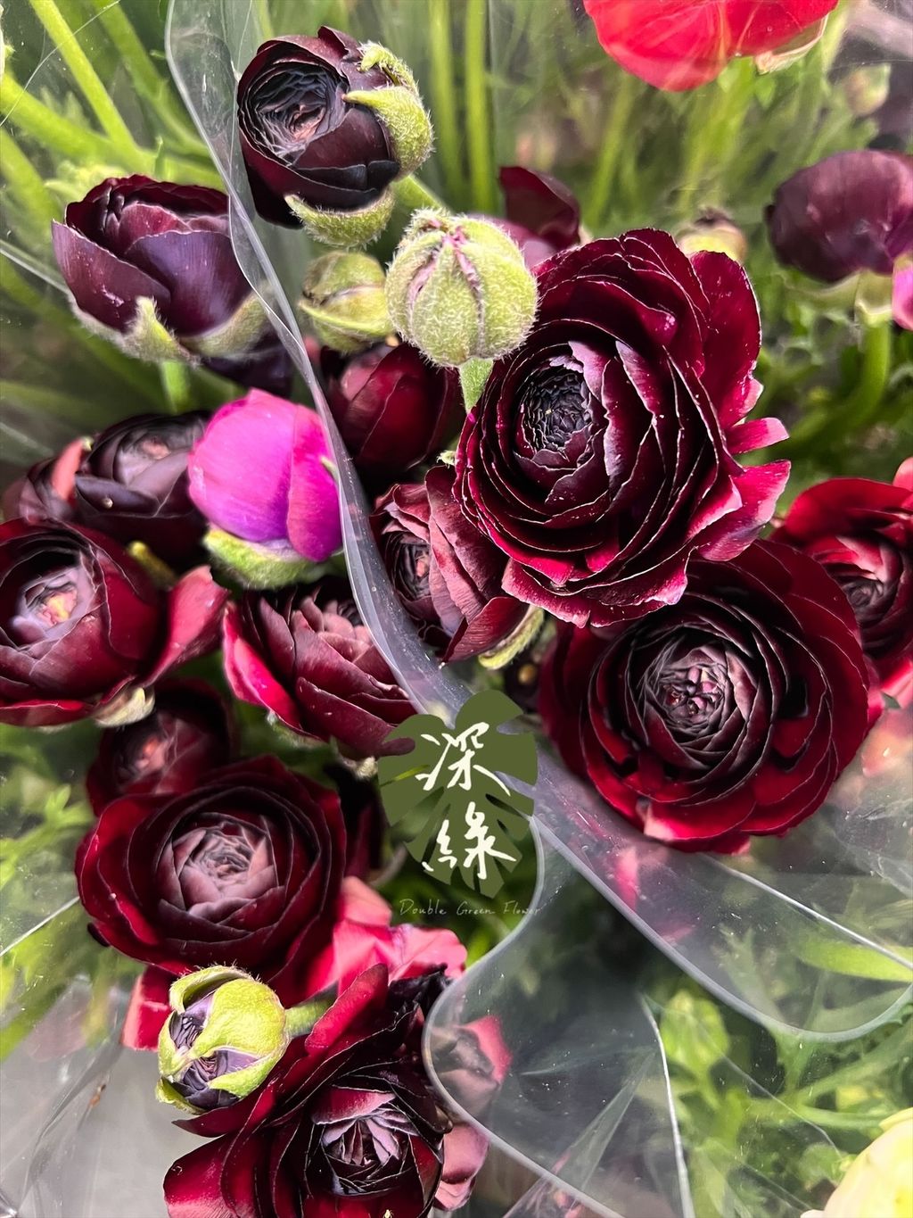 image_40A0025D-DCB3-4EEA-966C-4C9C6CB32BA3_1766544365