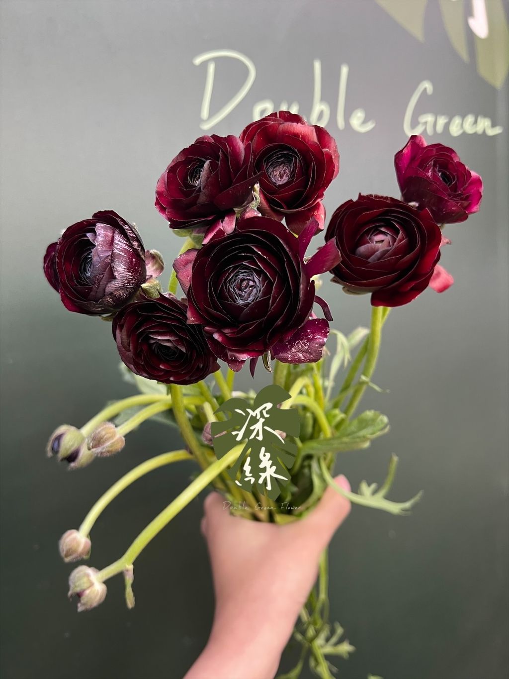 image_EE613B87-5A97-4AE5-A1DC-E0F6372CA648_1768354117