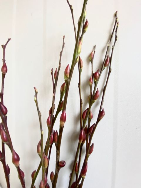 image_02B78D60-77FA-49E3-8D00-257A1F5341ED_1768373107