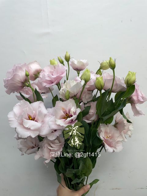 image_CE020EA4-D3CC-4558-9F04-FB0219812C92_1768442396