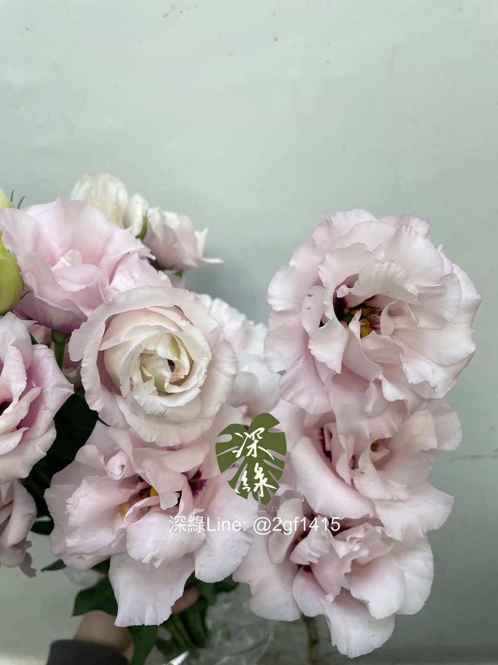 image_865DA66F-1577-4E7B-A6B7-69FF6709944F_1768442396