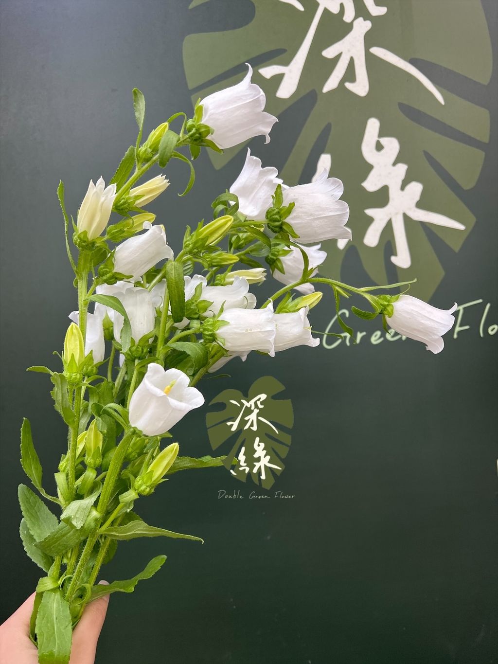 image_E49D8CB8-6B7A-4D7A-9E46-74735711FD8D_1768457798