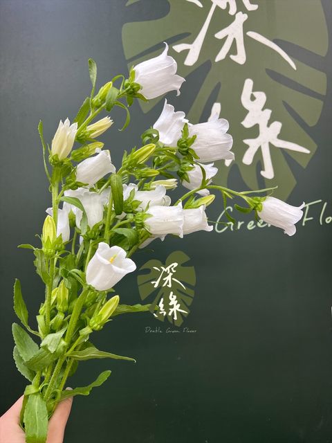 image_E49D8CB8-6B7A-4D7A-9E46-74735711FD8D_1768457798