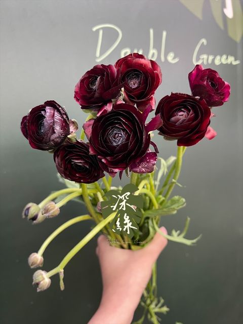 image_EE613B87-5A97-4AE5-A1DC-E0F6372CA648_1768354117