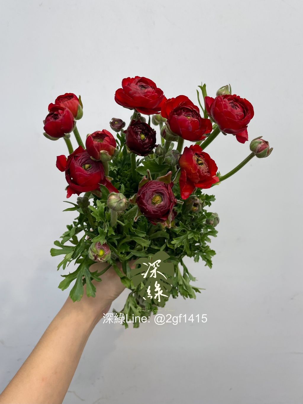 eZy Watermark_13-12-2024_01-39-04-0560下午-1734068356203