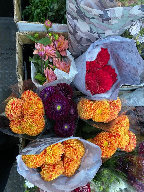 image_99FF0919-CD77-4276-8DEF-0AF0CD5FAAEC_1768464062