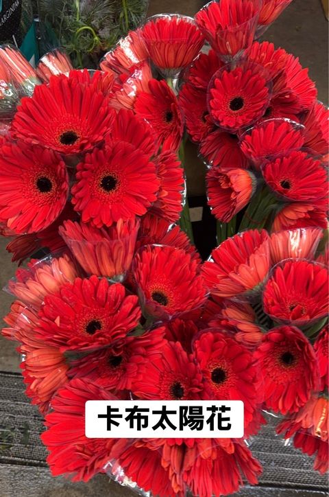 image_80E1043A-C8A3-4E19-A5DC-71596FBD432D_1768691640