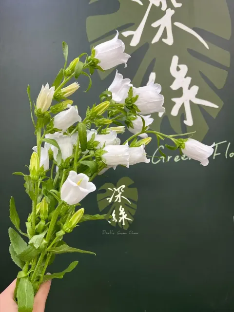 image_E49D8CB8-6B7A-4D7A-9E46-74735711FD8D_1768457798